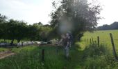 Trail On foot Dinant - WandArdRiv 18: Falmignoul: ruisseau de ranle en de Maas - Photo 7