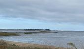 Trail Walking Port-des-Barques - Île Madame - Photo 11