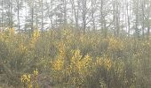 Randonnée Marche Esneux - à travers les bois d Anthines et d Esneux - Photo 1