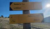 Trail Walking Sisteron - SISTERON . LE BOIS DE LA BUCHE . ROCHER DU TURC . CRETE DU MOLLARD . BATISTON PAUL ARENE . O  L - Photo 2