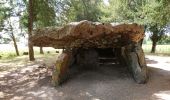 Tour Wandern Mettray - Mettray - Dolmen - 12.9km 160m 2h40 - 2020 07 26 - Photo 3