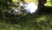 Trail Walking Sainte-Anne - Saragotte  - Photo 10