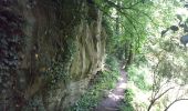 Trail Walking Magny-les-Hameaux - bois des roches - Photo 2