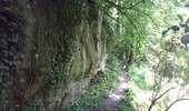 Randonnée Marche Magny-les-Hameaux - bois des roches - Photo 2