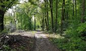 Trail On foot Vaals - Vaals V4 - Photo 4