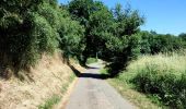 Trail Walking Braine-le-Comte - Promenade des canaux de Ronquières - Photo 15