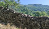 Randonnée Marche Labastide-sur-Bésorgues - Autour de Freyssenet  - Photo 3