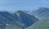 Randonnée Marche Peille - Peille : Cime du Baudon et Mont Ours - Photo 11