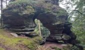 Tour Wandern Alberschweiler - Abreschviller les deux rivières - Photo 4