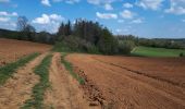 Randonnée Marche Saint-Léger - La Charmouthienne_boucle_Meix-le-Tige_16km_2020-04-17 - Photo 11