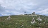 Excursión Senderismo Teyssières - Randonnée au départ de Teyssières (Le Cougoir, La Lance) - Photo 9