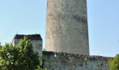 Tour Zu Fuß Gemeinde Seebenstein - Seebenstein - Weingart über Burg Seebenstein - Photo 4