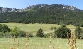 Randonnée Marche Châtillon-en-Diois - La Montagnette par le Pas de la Plane (Combau) - Photo 12