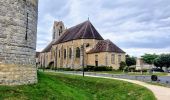 Excursión Senderismo Verneuil-l'Étang - Le tour du grand Paris via le GR1 Etape 12 Verneuil l'Etang- Melun - Photo 10