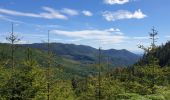 Trail Walking Grandfontaine - Positions fortifiées du Donon sentier des casemates - nord - Photo 8