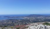Randonnée Marche Toulon - Baou des 4 Auros - Photo 3