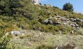 Excursión Senderismo Caussols - CAUSSOLS-Les plateaux de Calern et de Caussols-MBO - Photo 6