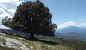 Excursión Senderismo Campile - Boucle de Monte Castellare - Photo 4