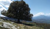 Randonnée Marche Campile - Boucle de Monte Castellare - Photo 4