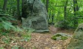 Trail Walking Chamarande - Lardy - Le Lièvre d'Or - Photo 5