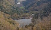 Randonnée Marche Lepuix - Ballon d'Alsace - cascade et lac d'Alfeld - Photo 7