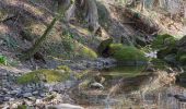 Tour Zu Fuß Adlwang - Waldlehrpfad Hallerwald - Photo 3