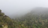 Tour Wandern Saint-Denis - Piton BDN -Mamode Camp par le gîte de Roche Ecrite - Photo 1