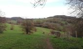 Trail Walking Voeren - Balade dans les Fourons  - Photo 3