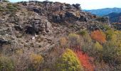 Randonnée Marche Ventalon en Cévennes - col de hauts de St privât. - Photo 2