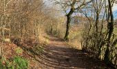 Trail Walking Strassen - Mamer - Photo 1