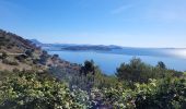 Excursión Senderismo La Seyne-sur-Mer - Cap Sicié et Notre Dame du mai - Photo 15