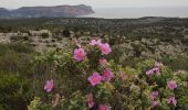 Tour Wandern Marseille - Mt Puget aven des Marseillais  - Photo 3