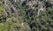 Trail Walking La Palud-sur-Verdon - les malines au point sublime - Photo 6