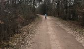 Randonnée Marche Saint-Bonnet-Tronçais - St Bonnet de Tronçais   - Photo 8