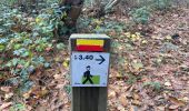 Trail Walking Silly - Graty - bois d’Enghien - Graty - Photo 20