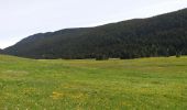 Randonnée Marche Glières-Val-de-Borne - GLIERES: TOUR DE LA MONTAGNE DES FRETES - Photo 10