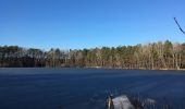 Tour Zu Fuß Königs Wusterhausen - Rundweg Großer Tonteich - Photo 4