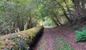 Tocht Stappen Bédeilhac-et-Aynat - au pied du Calames - Photo 2