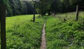 Trail Walking Incourt - La promenade des grosses pierres ( 4,9km ) - Photo 9