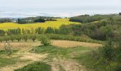 Trail Walking Mirabel - Autour de Mirabel - Photo 5