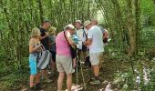 Tour Wandern Gézoncourt - Gézoncourt - Petite Suisse - Photo 1