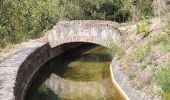 Tocht Stappen Saint-Cézaire-sur-Siagne - Le canal et la rivière de la Siagne  - Photo 9