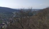 Trail Walking Beure - beure - chapelle des buis - fort Fontain - Photo 9