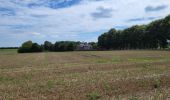 Tour Wandern Fernelmont - Noville les Bois 220823 - Photo 1