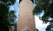 Tour Zu Fuß Bad Berka - grüner Balken Tannroda - Photo 6