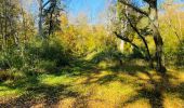 Tour Wandern Compiègne - en forêt de Compiègne_43_le Petit Octogone et vers la Faisanderie - Photo 17