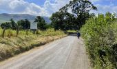 Randonnée A pied Eden - The Ullswater Way - Photo 4