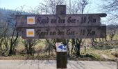 Percorso Marcia Bütgenbach - Le tour du lac de Bütgenbach  - Photo 11