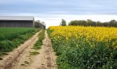 Tocht Stappen Chamarande - Boucle autour de Chamarante - Reco Didier  - Photo 11