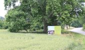 Tour Zu Fuß Gemeinde Leopoldsdorf - Augenblick Runde - Photo 1